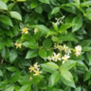 Meet your Posher, Eliza